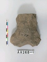 藏品(有腰打製石斧)的圖片